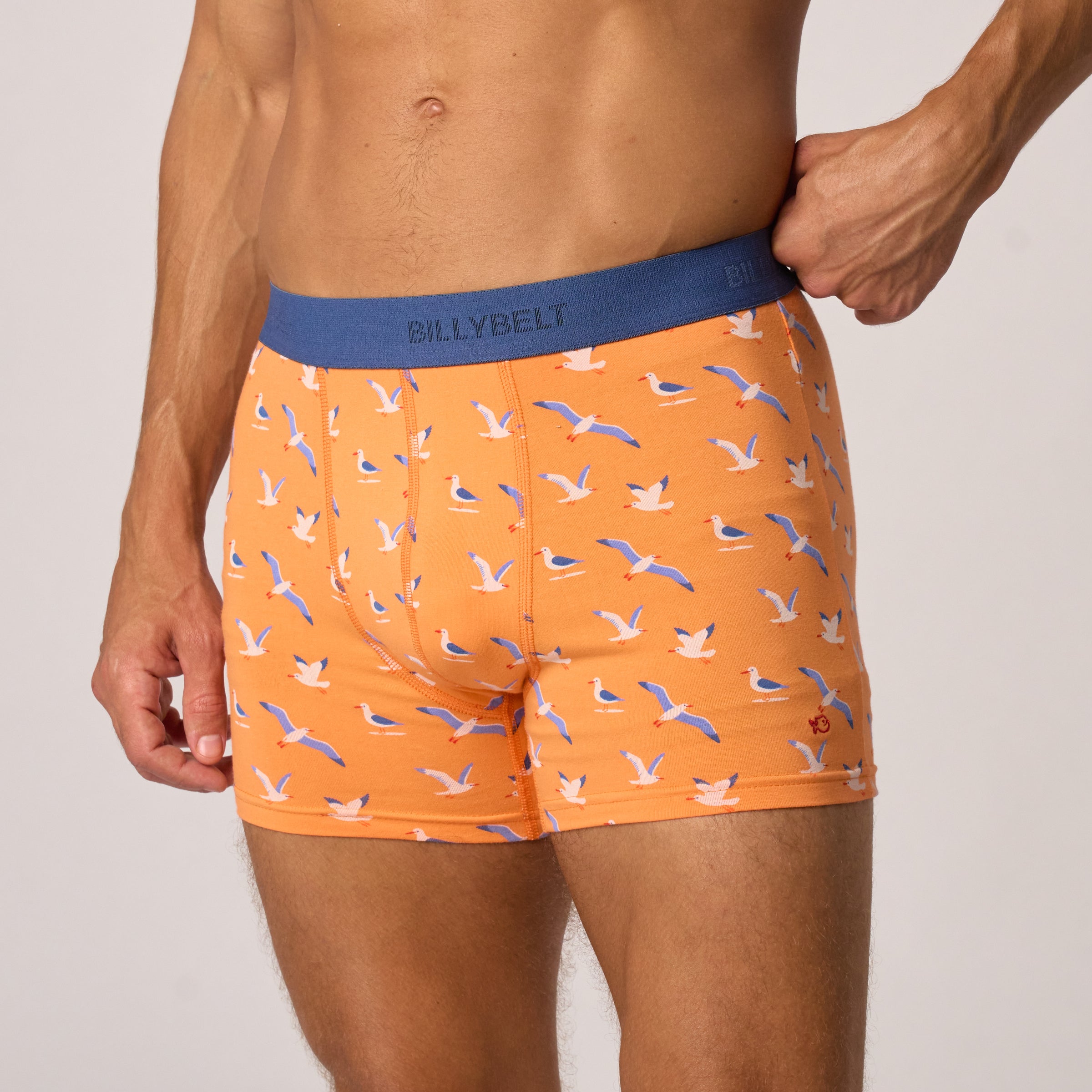 Organic cotton boxer brief - Seagull